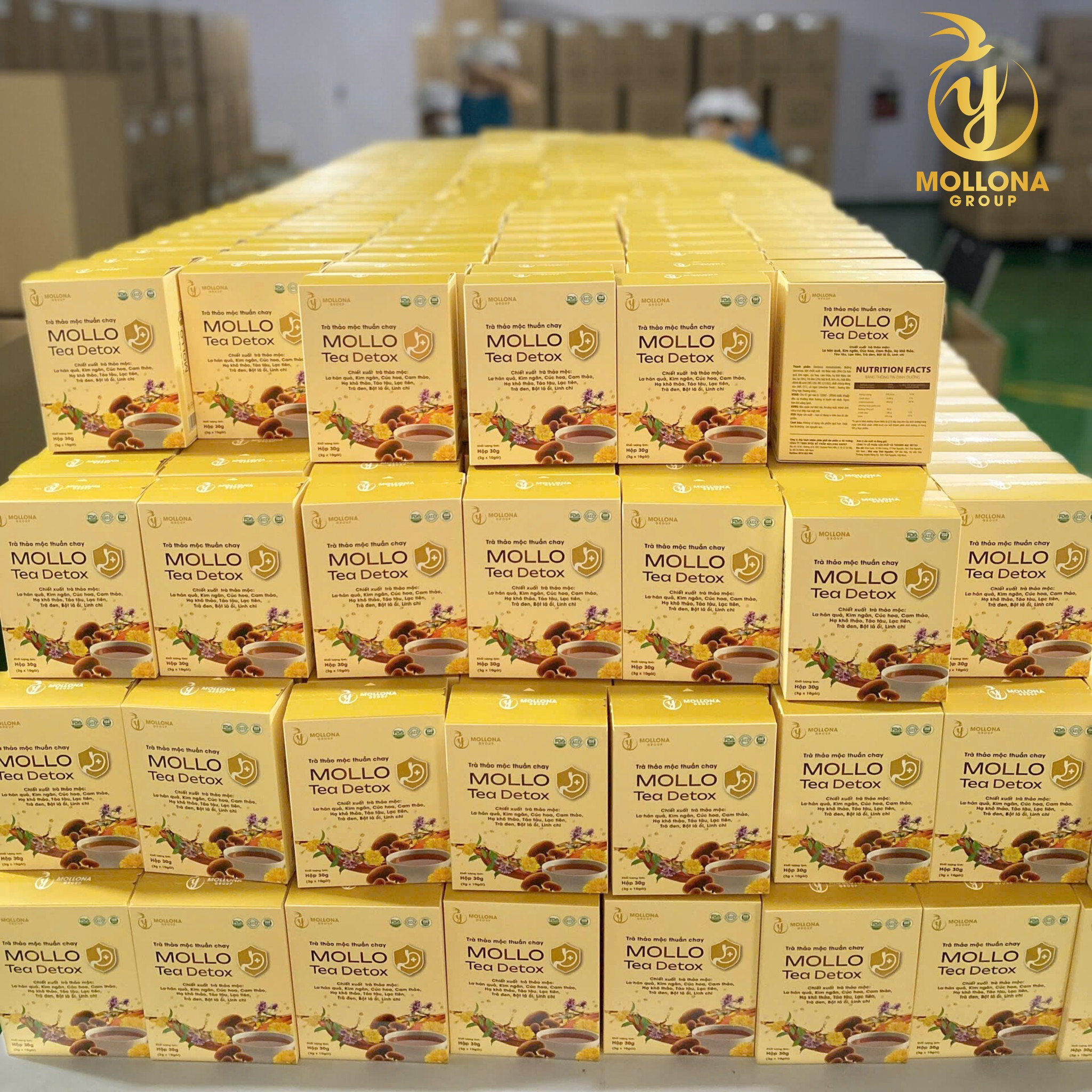 mollo-tea-detox Mollo Tea Detox