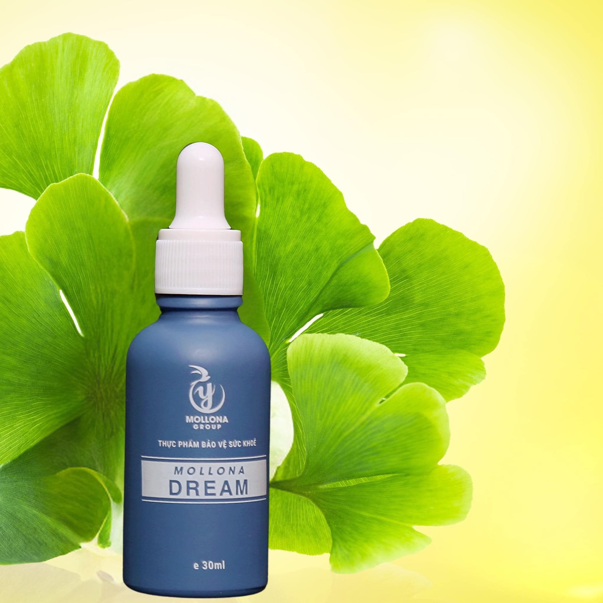 mollona-dream Mollona Dream