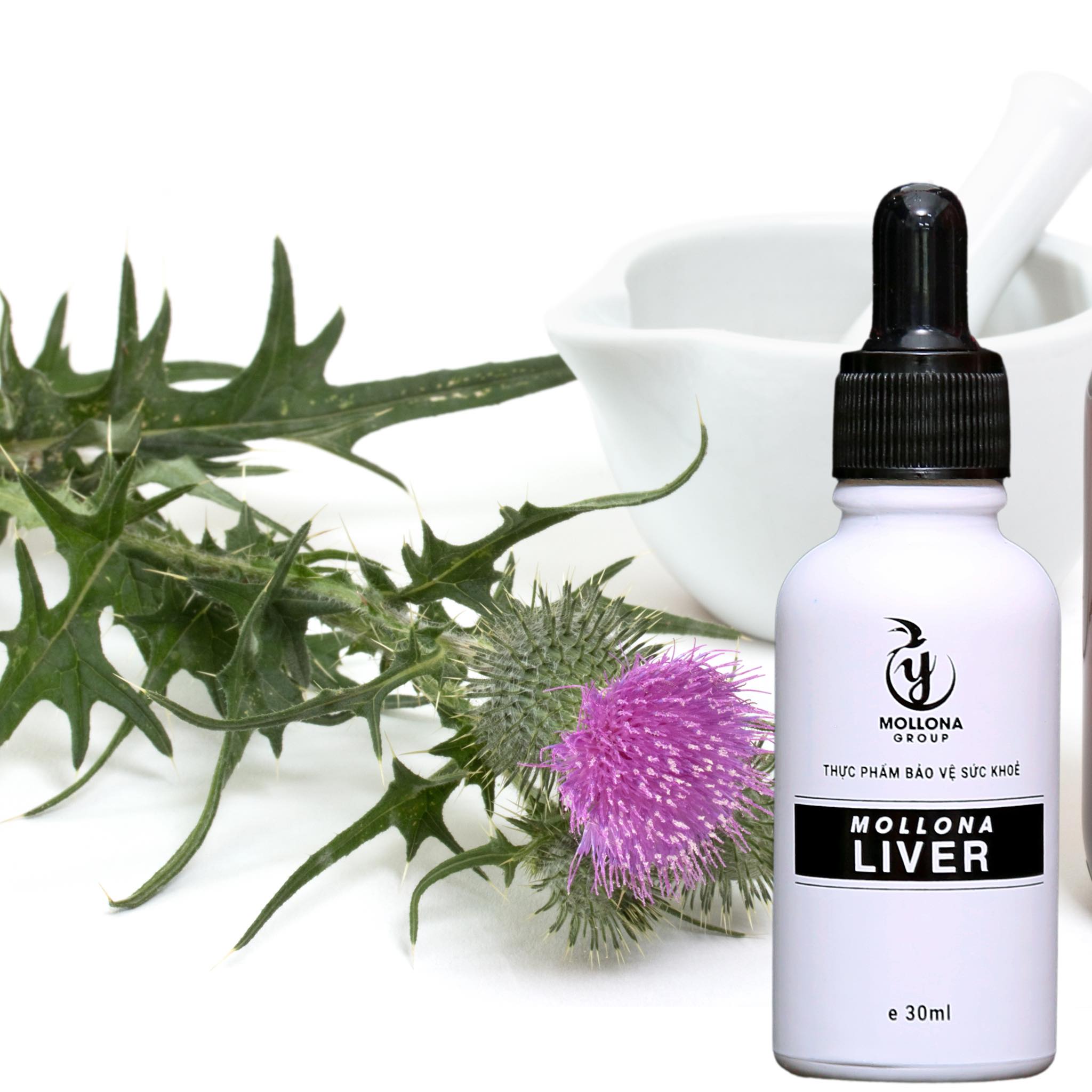 Mollona-Liver11 Mollona Liver