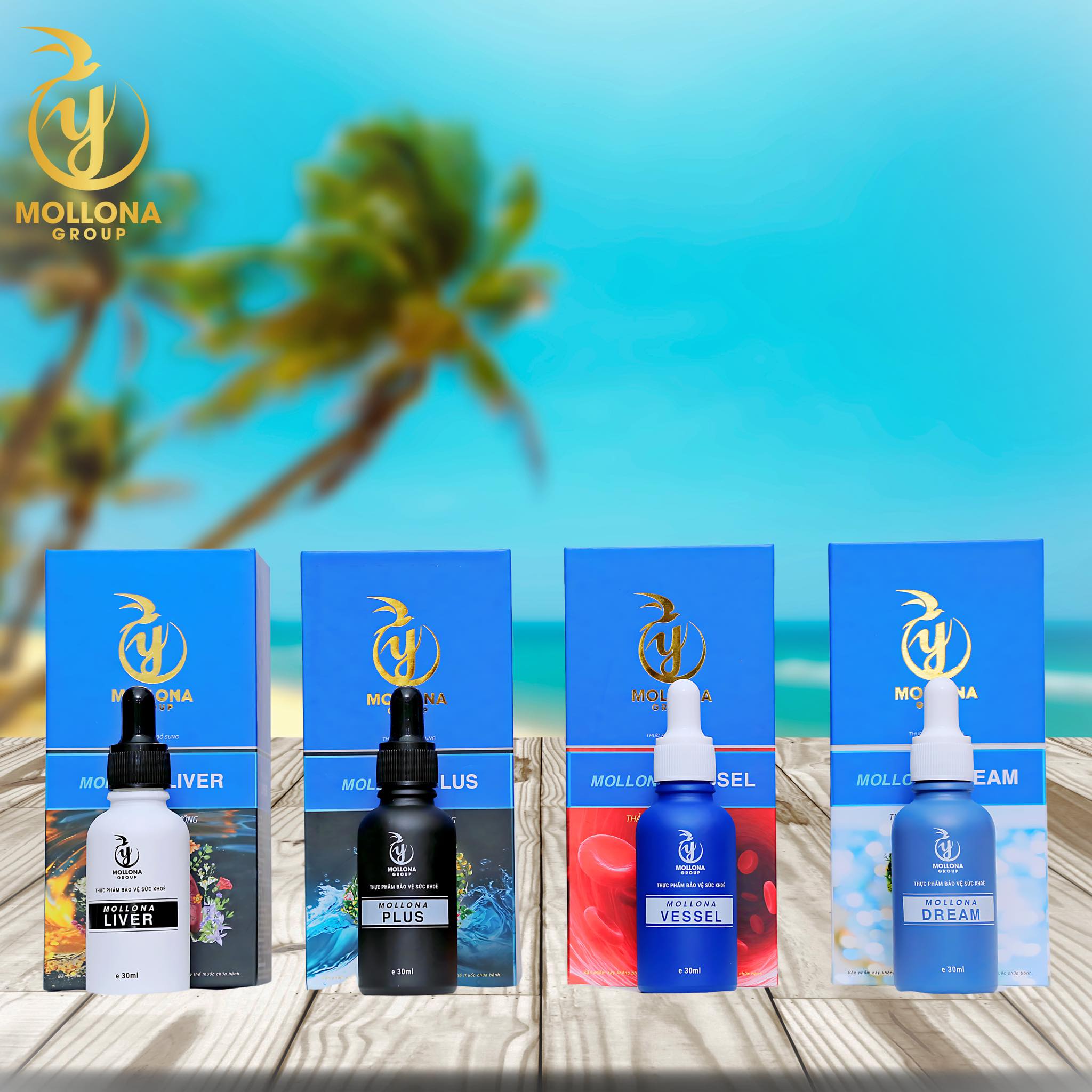 mollona-vessel Mollona VESSEL