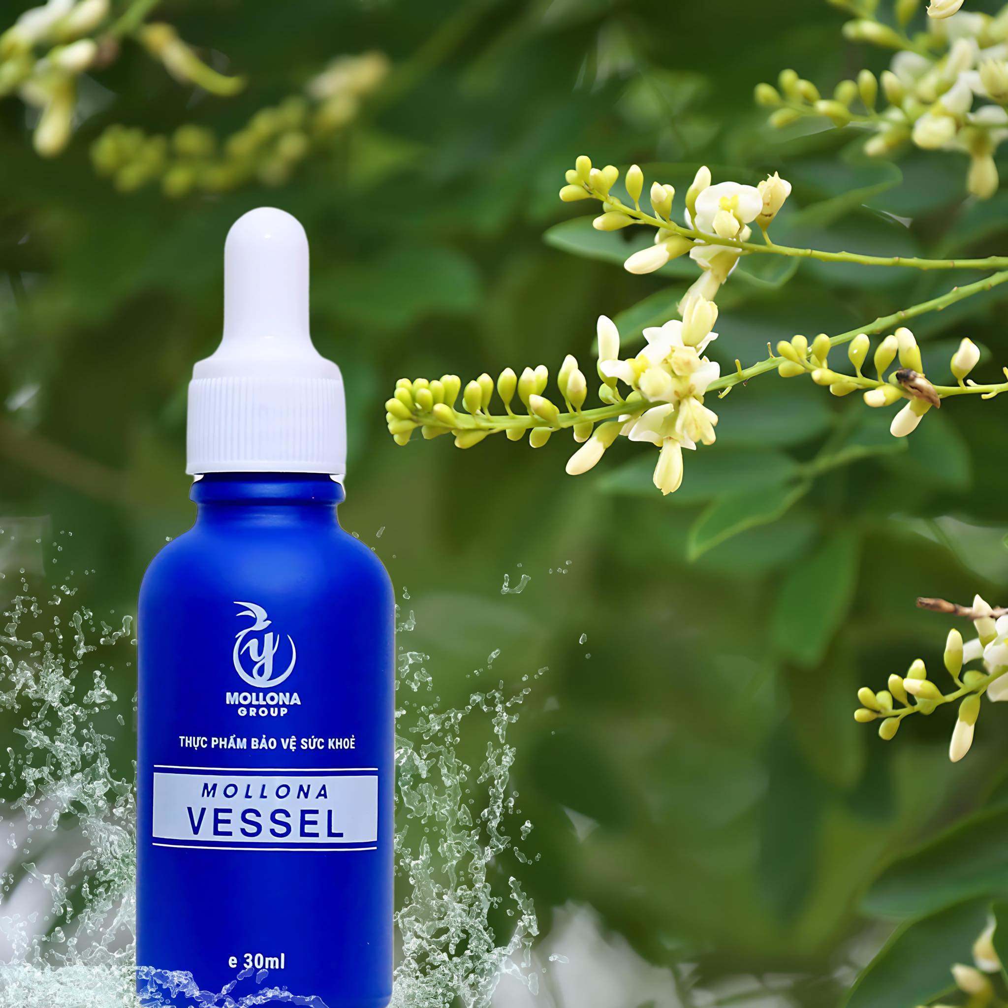 mollona-vessel Mollona VESSEL