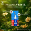 Mollona VESSEL
