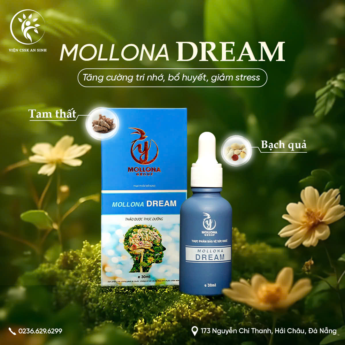 mollona-dream Mollona Dream
