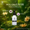 Mollona Liver