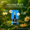 Thảo dược thực dưỡng Mollona Plus