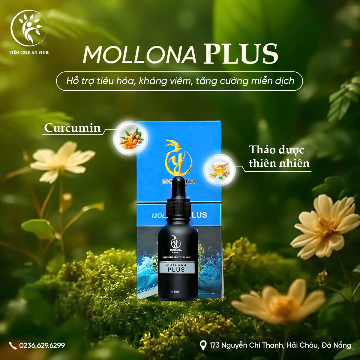 thao-duoc-thuc-duong-mollona-plus Thảo dược thực dưỡng Mollona Plus